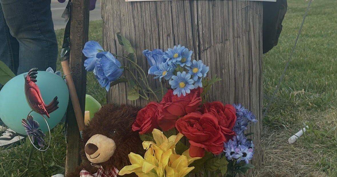 New details in death of Springfield teen; best friend recalls final moments