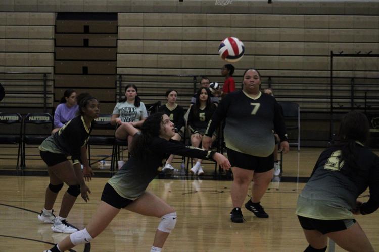 Mya Rangel Russellville Volleyball continues to grow despite loss | Sports ...