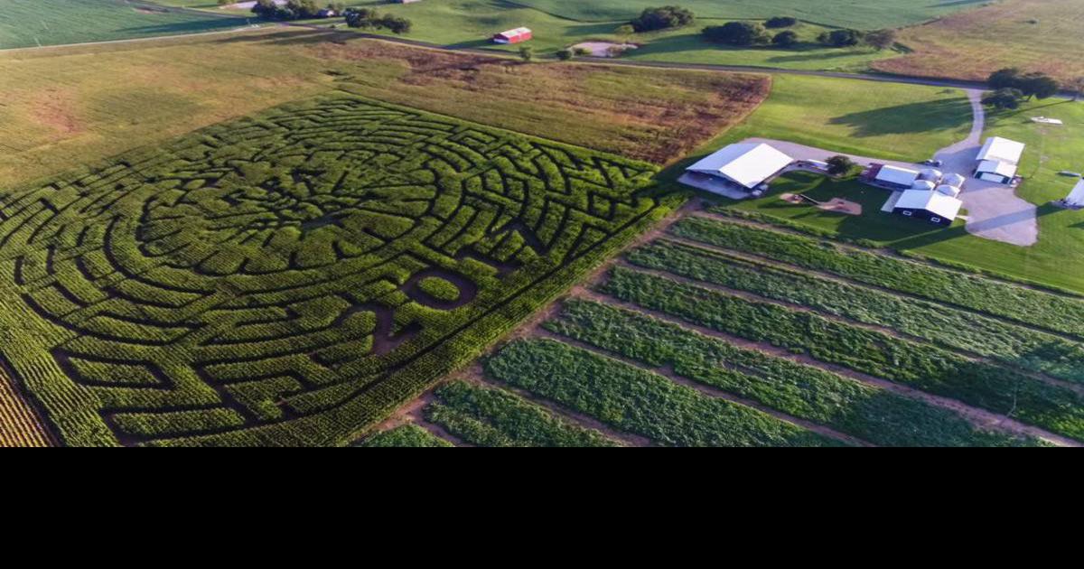 Just Piddlin Farm an agritourism operation Local News