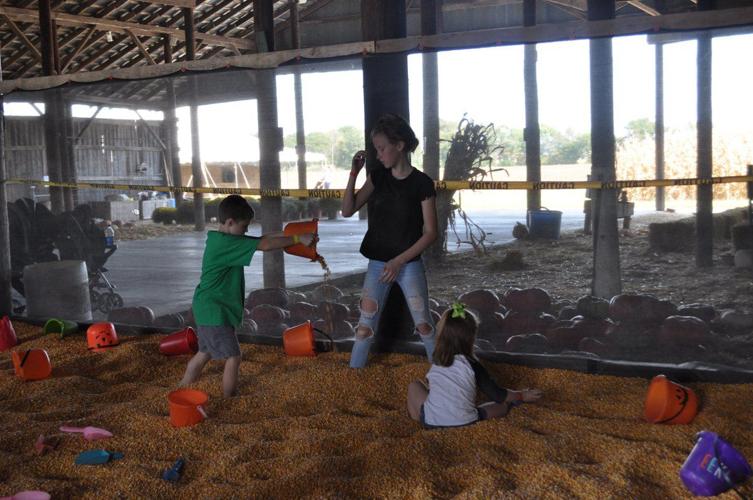 Just Piddlin Farms opens for fall festivities Local News