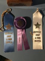 Feathers and Friends wins big at Kentucky Sheep and Fiber Festival