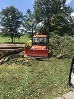 Park suffers straight-line wind damage