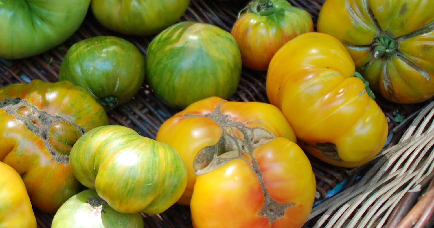 Hot Weather Garden Woes - Vimarsana News