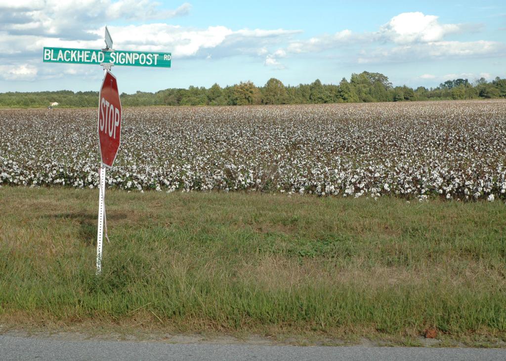 Tour Guide Aims To Present Unvarnished Look At Nat Turner S Rebellion Lifestyles Fredericksburg Com He'd show them the route.