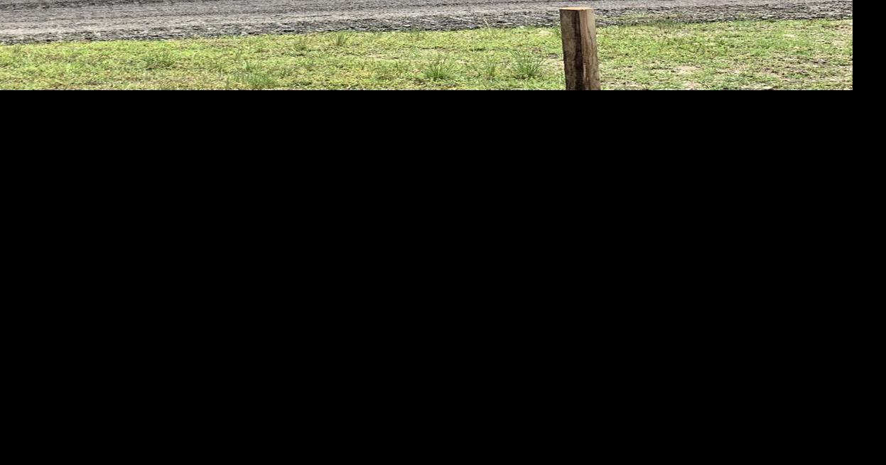 Fredericksburg on a roll with rollerhockey rink preparations