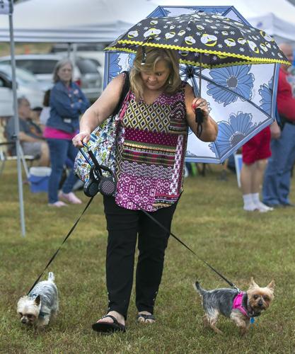 All Star Dogs: Fredericksburg Nationals Pet Products