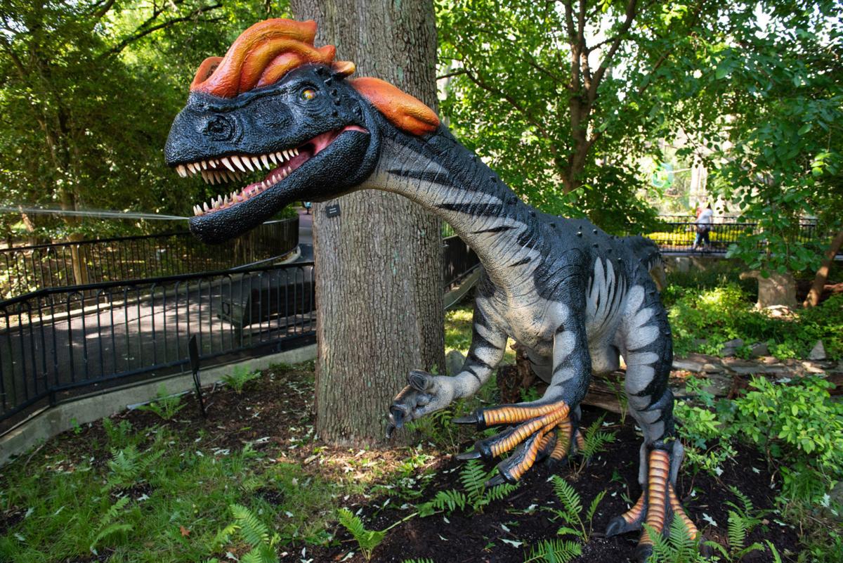 dinosaur at zoo