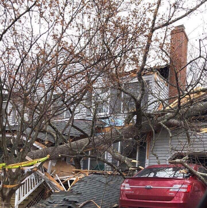 Powerful wind storm causes damage, widespread power outages Local