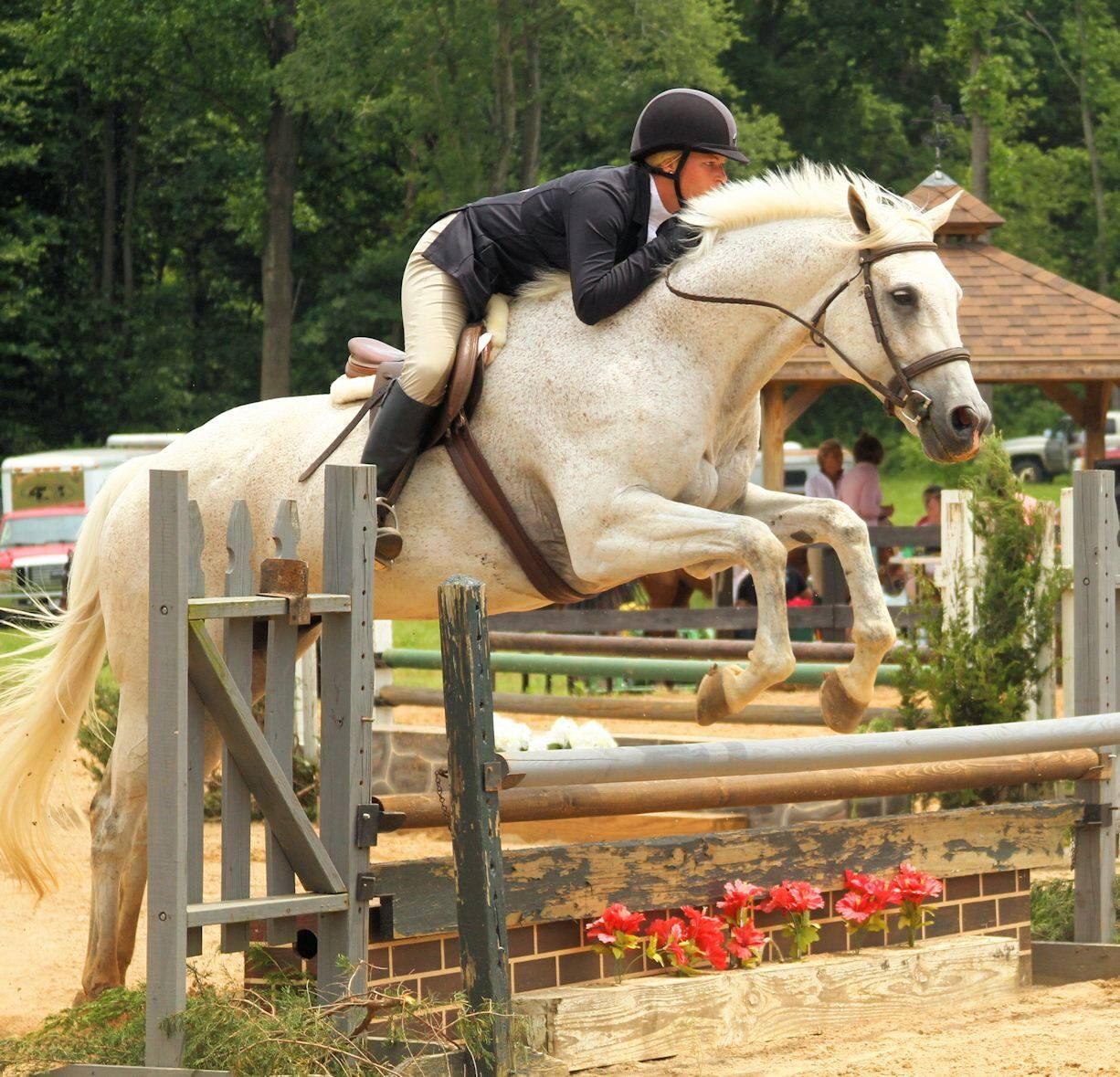 Caroline and Orange kick off jam-packed county fair season