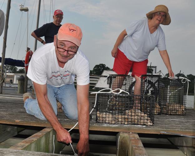 Dahlgren Yacht Club growing oysters to help clean water, create oyster reef
