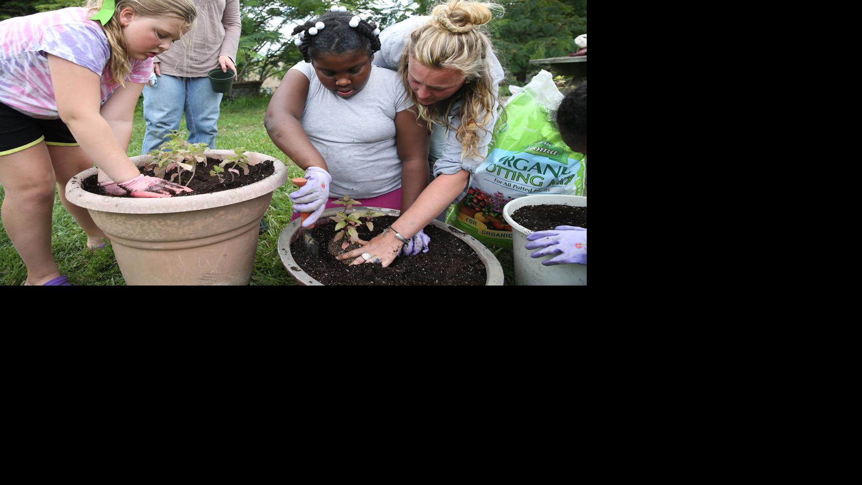 Youth Farm Program in Fredericksburg grows kids' knowledge about gardening, business