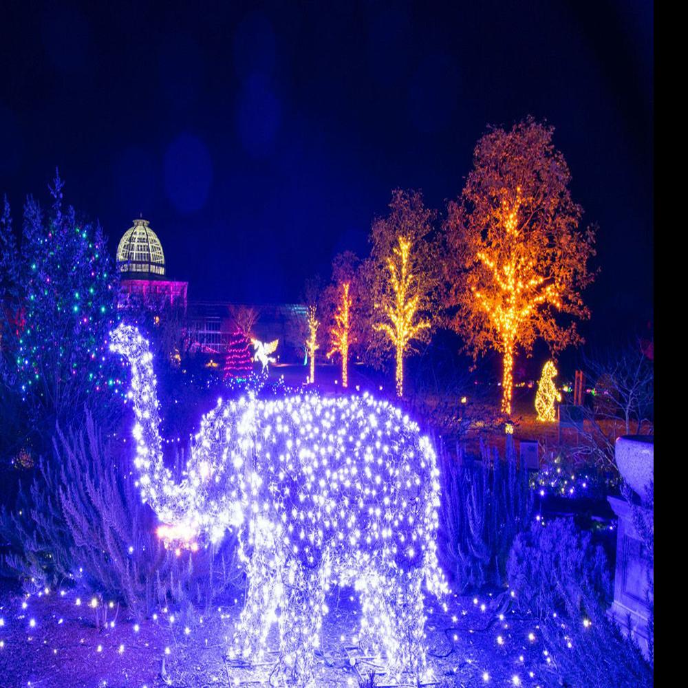 Lewis Ginter Christmas Lights 2022 Young Life: Area Light Shows Turn On The Holiday Charm | Entertainment |  Fredericksburg.com