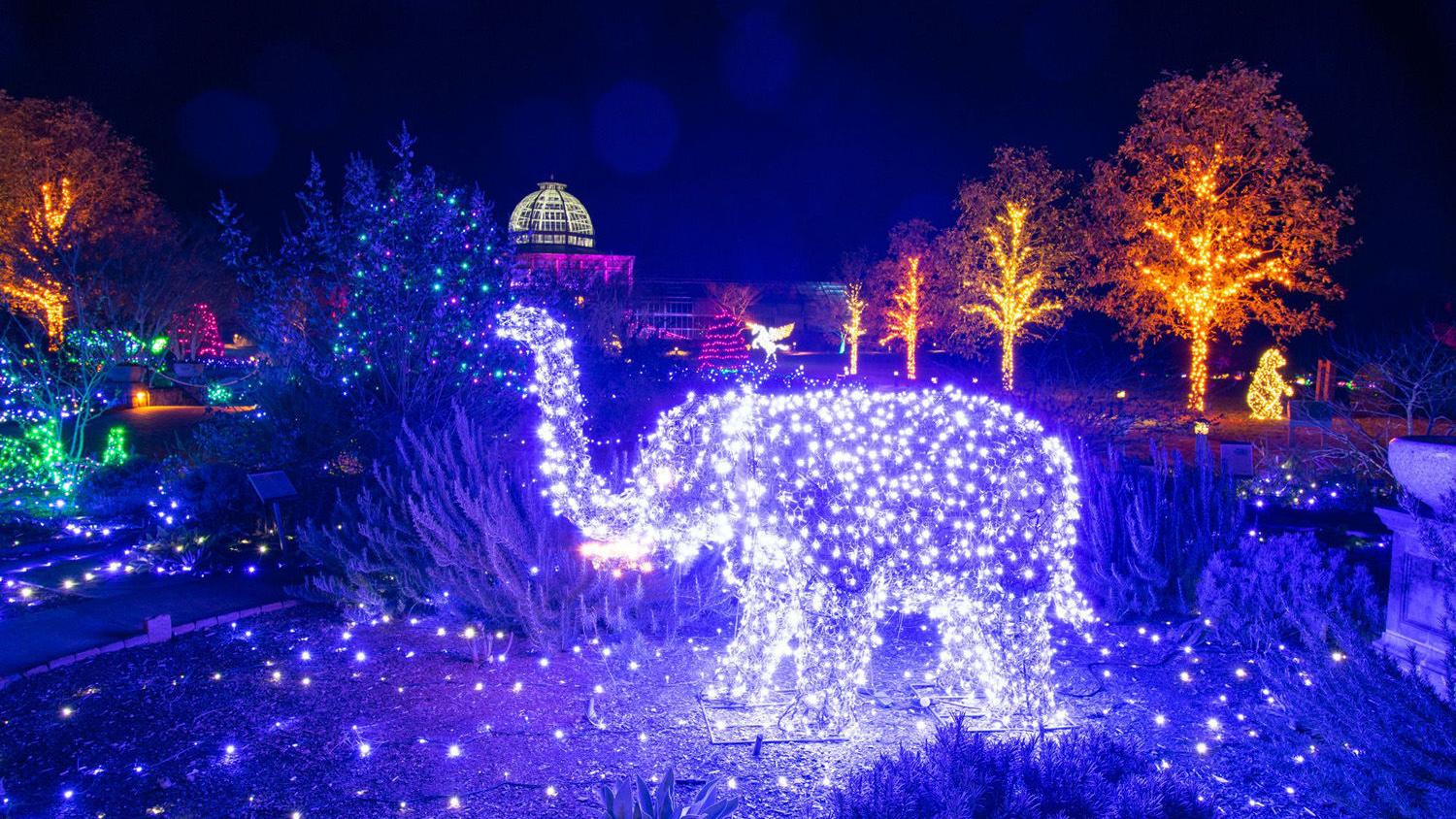 Young Life Area Light Shows Turn On The Holiday Charm Entertainment Fredericksburg Com Christmas Lights Show Doswell Va 2021