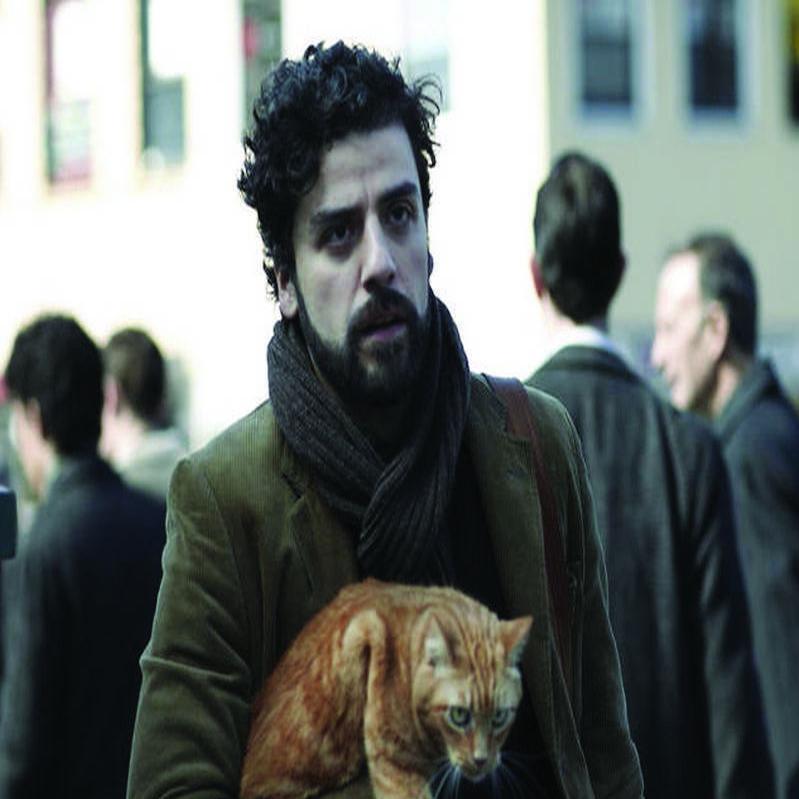 No Contest Cats Are Paws Ahead Of Dogs On Screen Tv Movies