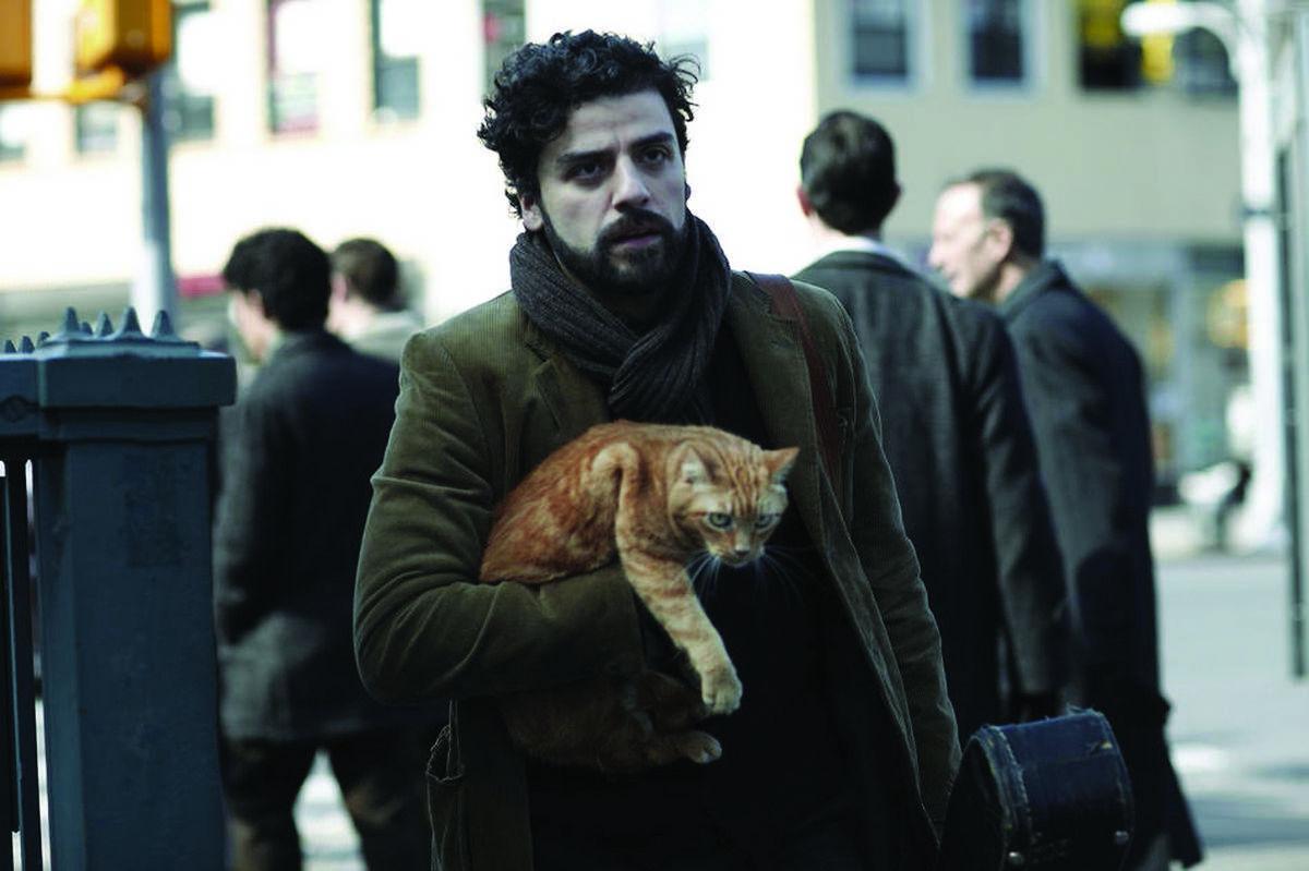 No Contest Cats Are Paws Ahead Of Dogs On Screen Tv Movies