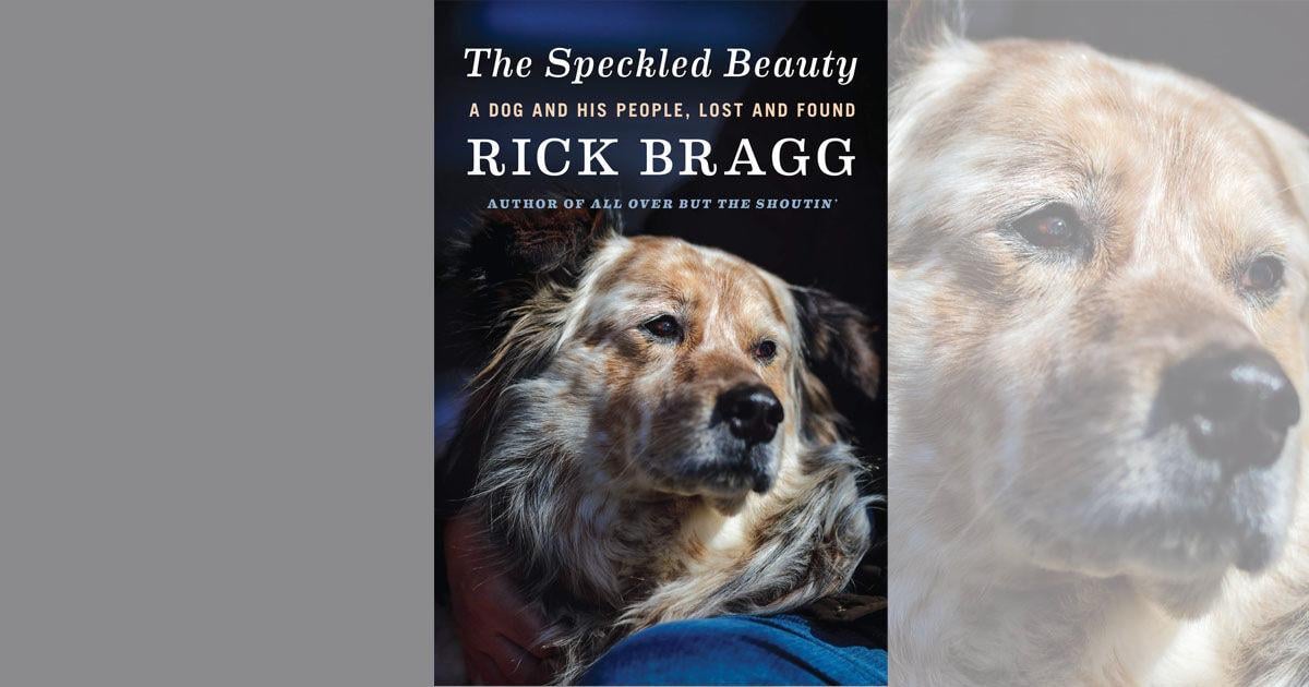 Book review: 'The Speckled Beauty' a beautiful, poignant tale of a dog