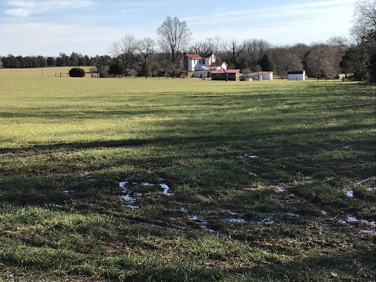 April Showers Challenge Orange Area Farmers Local News Fredericksburg Com
