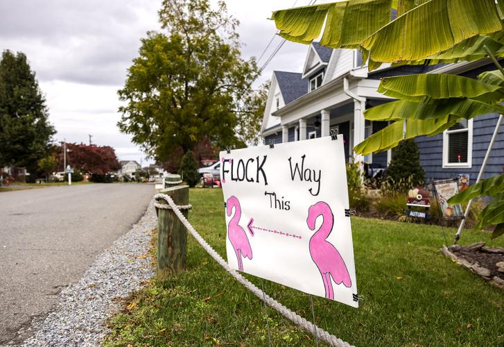 Fairview Beach \'flocking pink on the Potomac\' for breast cancer awareness
