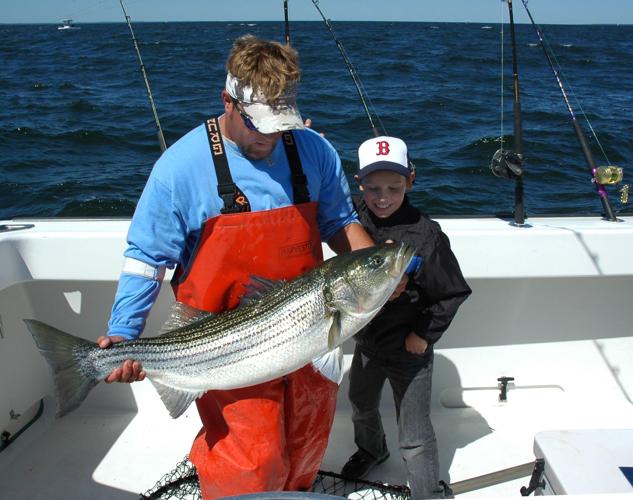 Striped bass are in trouble again. Can an emergency measure save them? -  The Boston Globe