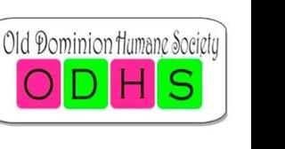 Old Dominion Humane Society partners with Spotsylvania Career & Technical Center veterinary program - Vimarsana News