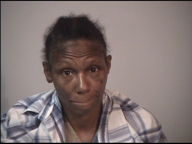 Police Say Woman Stole Car, Attacked Officer