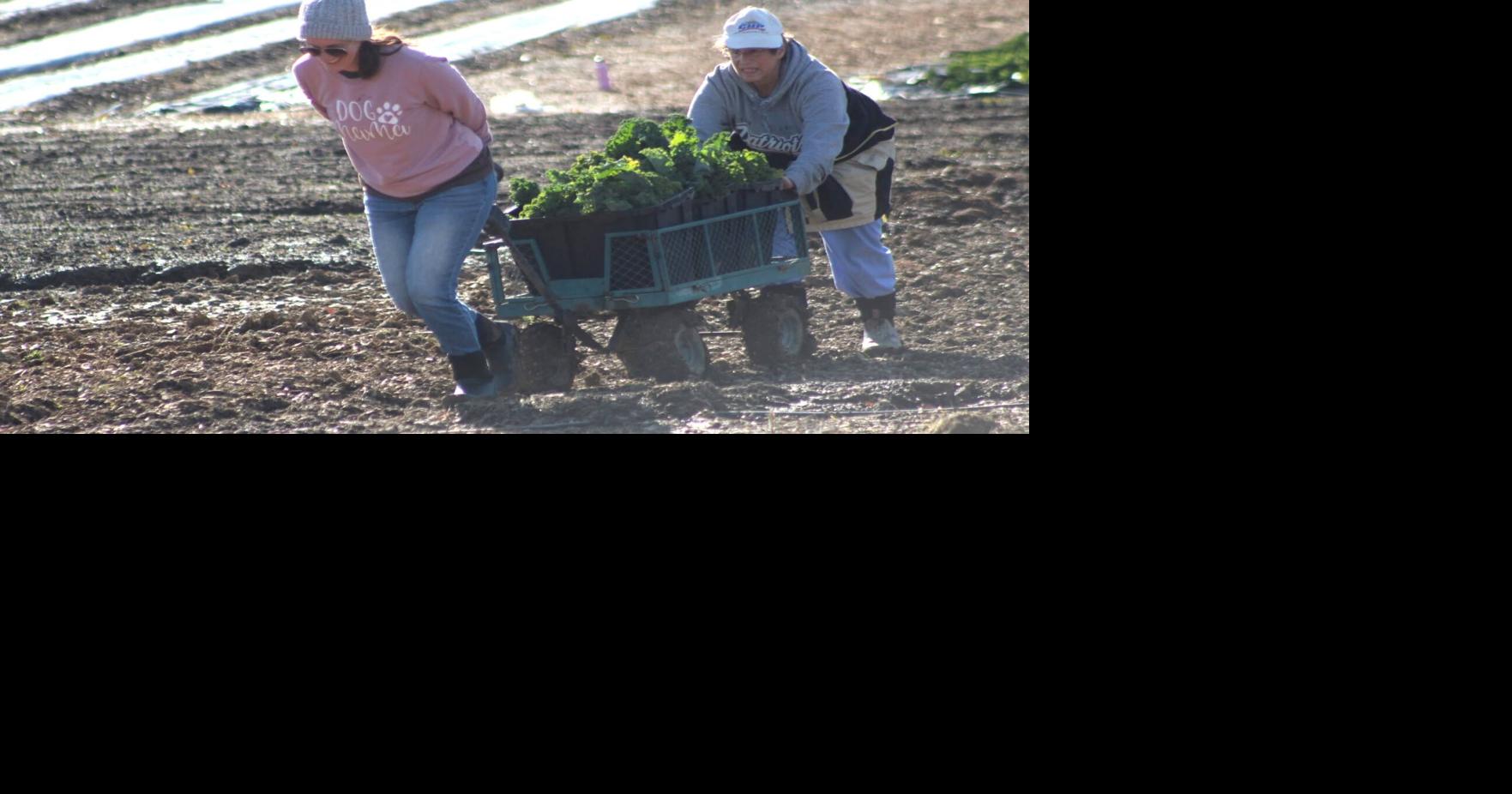 Top stories of 2025: Education farm tops 41,000 pounds of fresh food