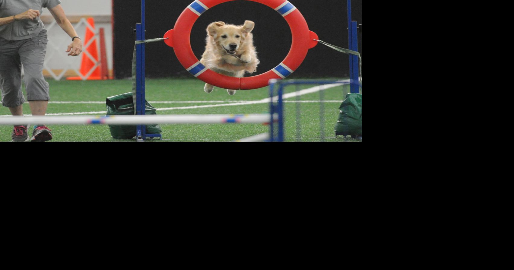 PHOTOS Greater Fredericksburg Kennel Club Agility Trial
