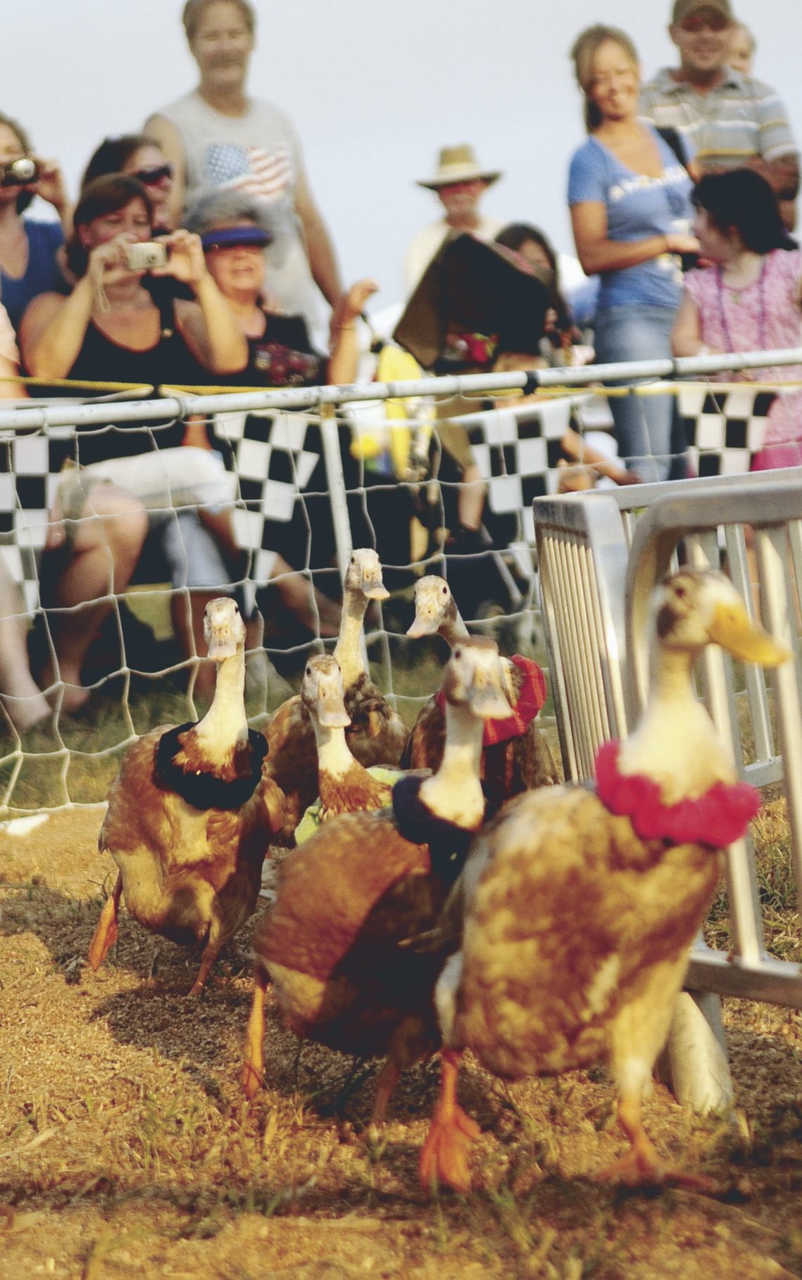 Caroline County Agricultural Fair celebrates 100th anniversary