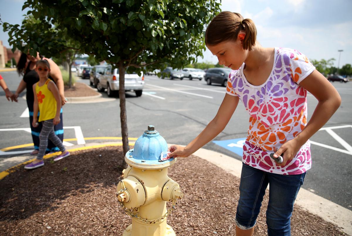 Community Spreading Joy Through Handpainted Rocks Local News