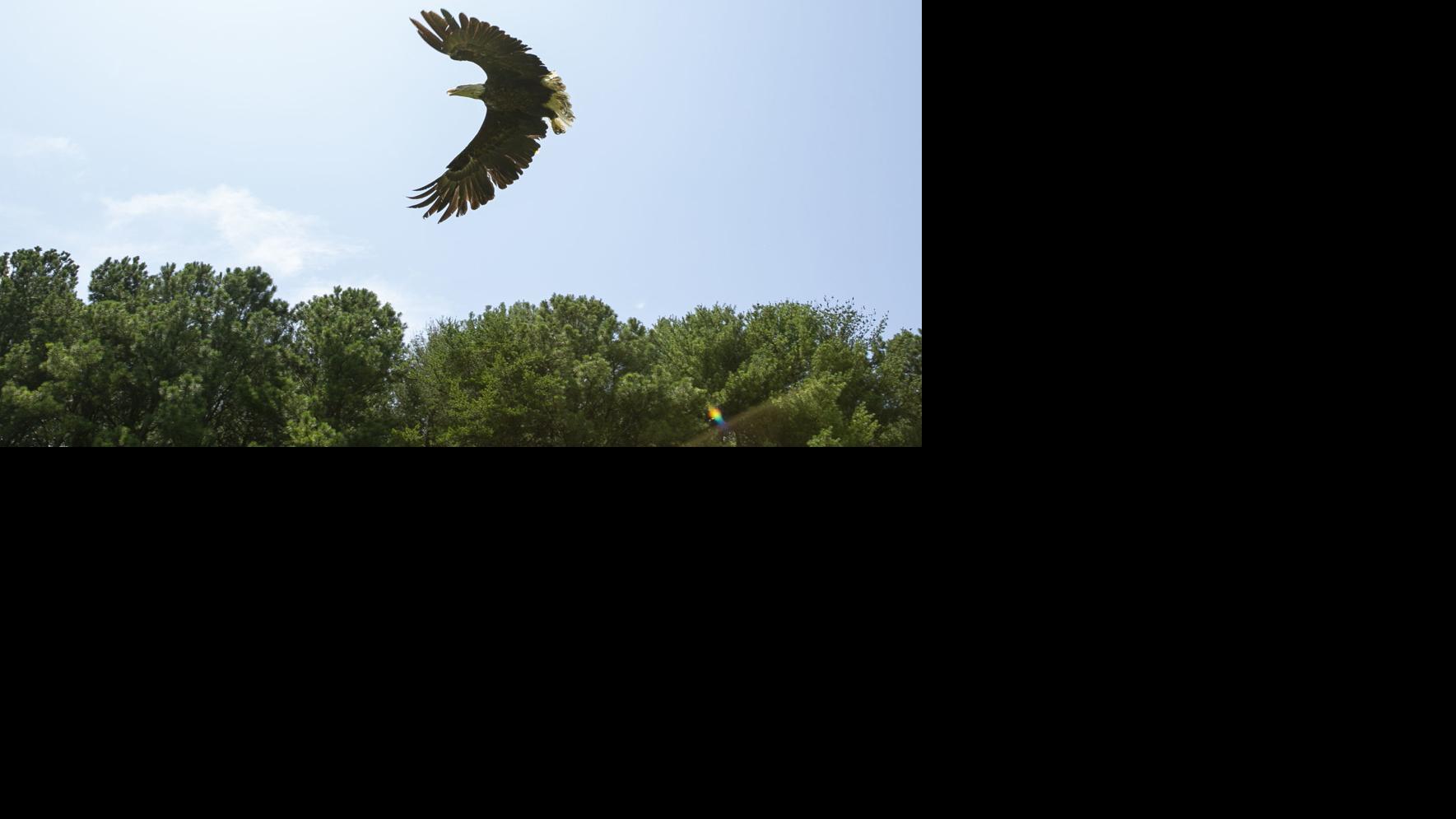 Discover Magazine Caledon State Park In King George County