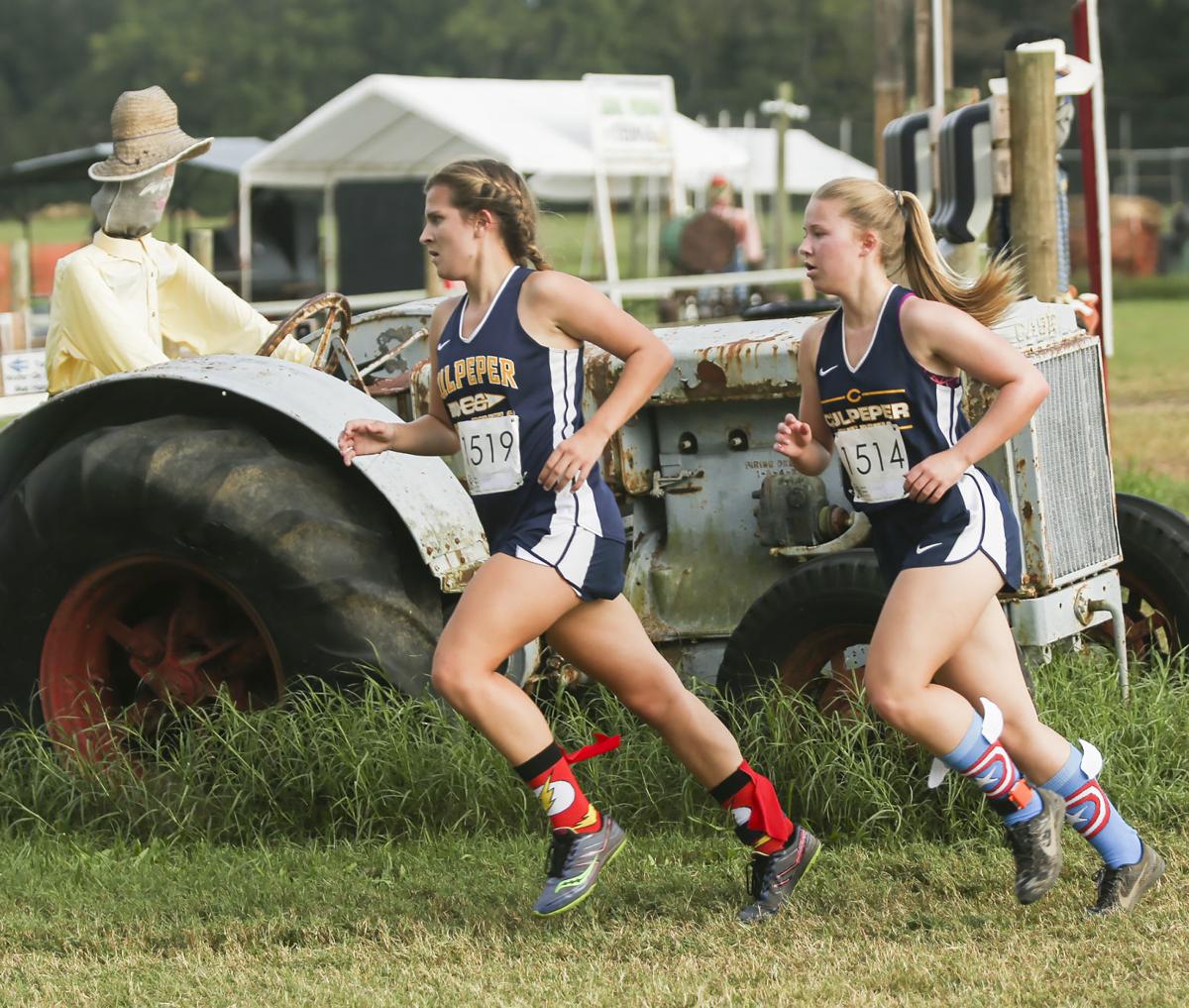 AllArea cross country meet Fields, Gilyard gallop past competition