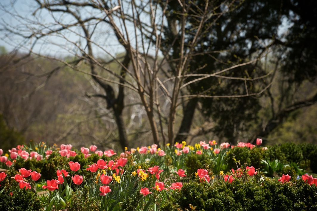Photo Gallery Spring open house at Belmont Gallery