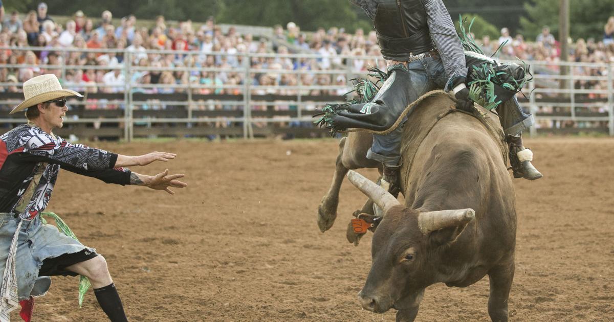 Gordonsville rodeo competitor says riding a bull is '30 seconds of pure ...