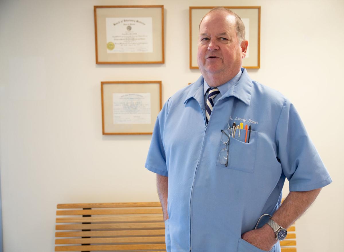 Veterinarian