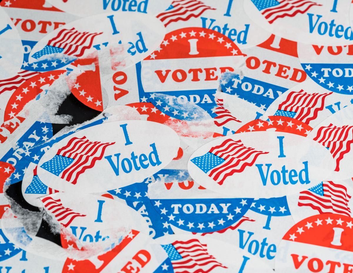 What's on the ballot in the Fredericksburg area