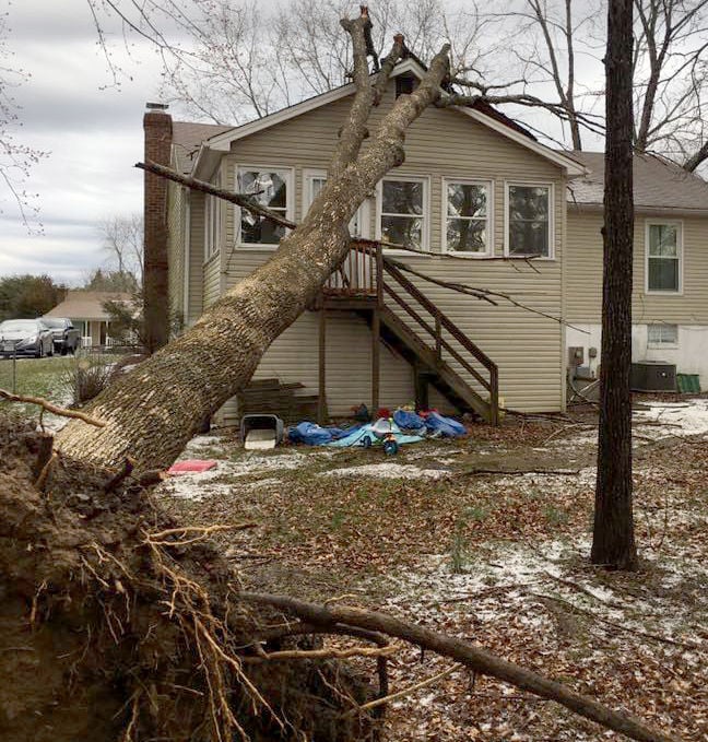 North Stafford clearing away storm damage | Stafford | fredericksburg.com