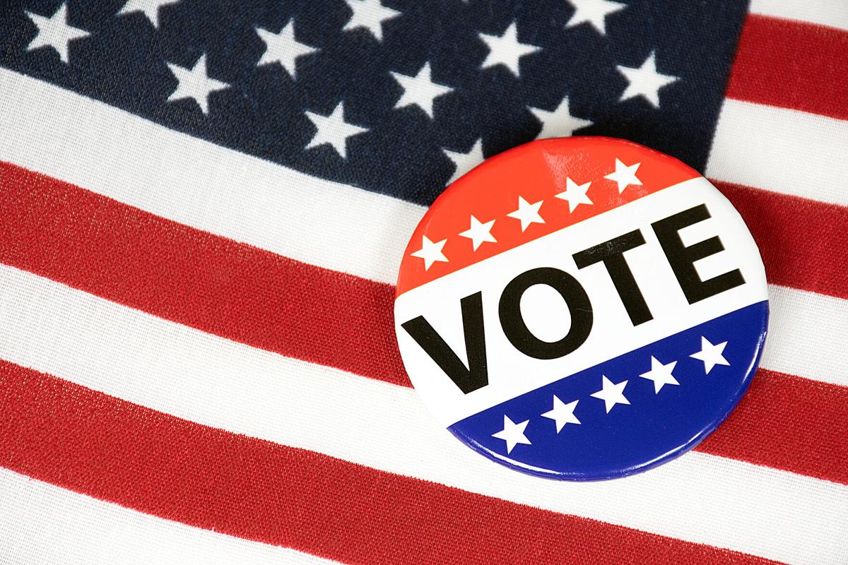 What's on the ballot in the Fredericksburg area