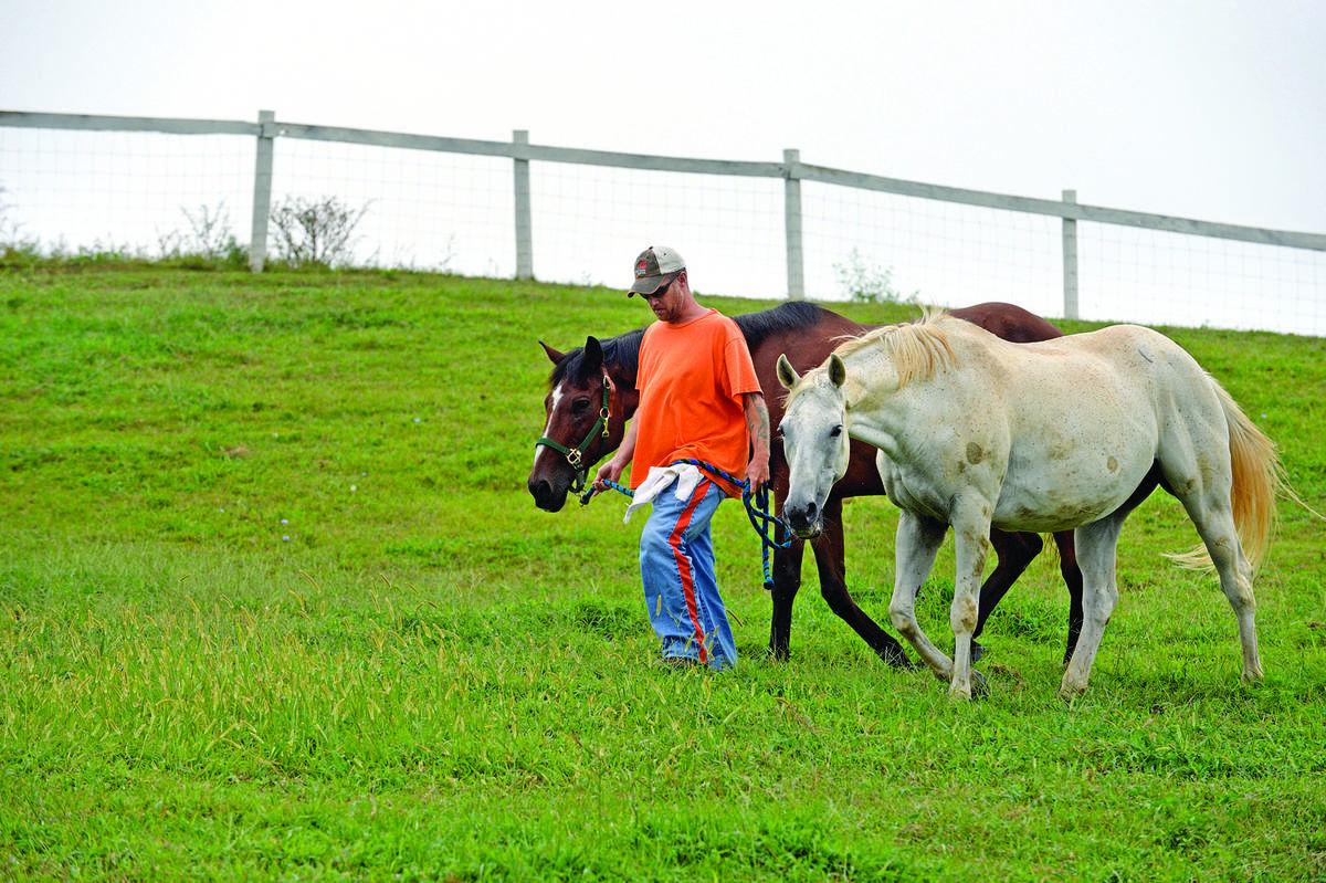 At James River Work Center, inmates work with rescued horses, including