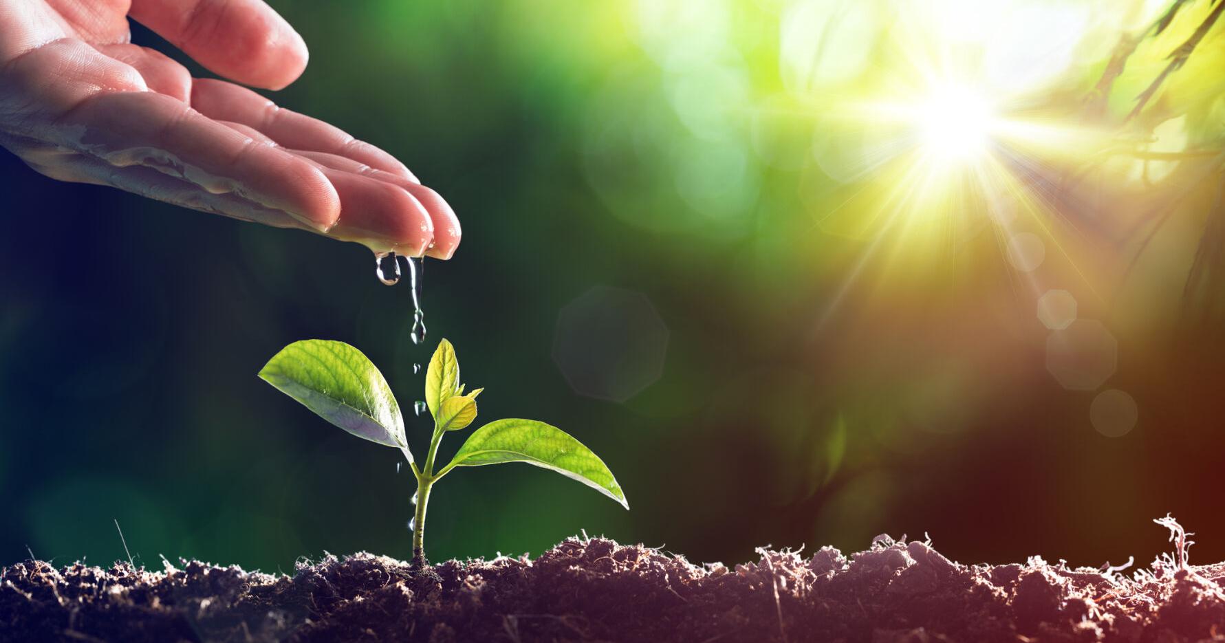 Word on the Street: Growing into the unknown - Vimarsana News
