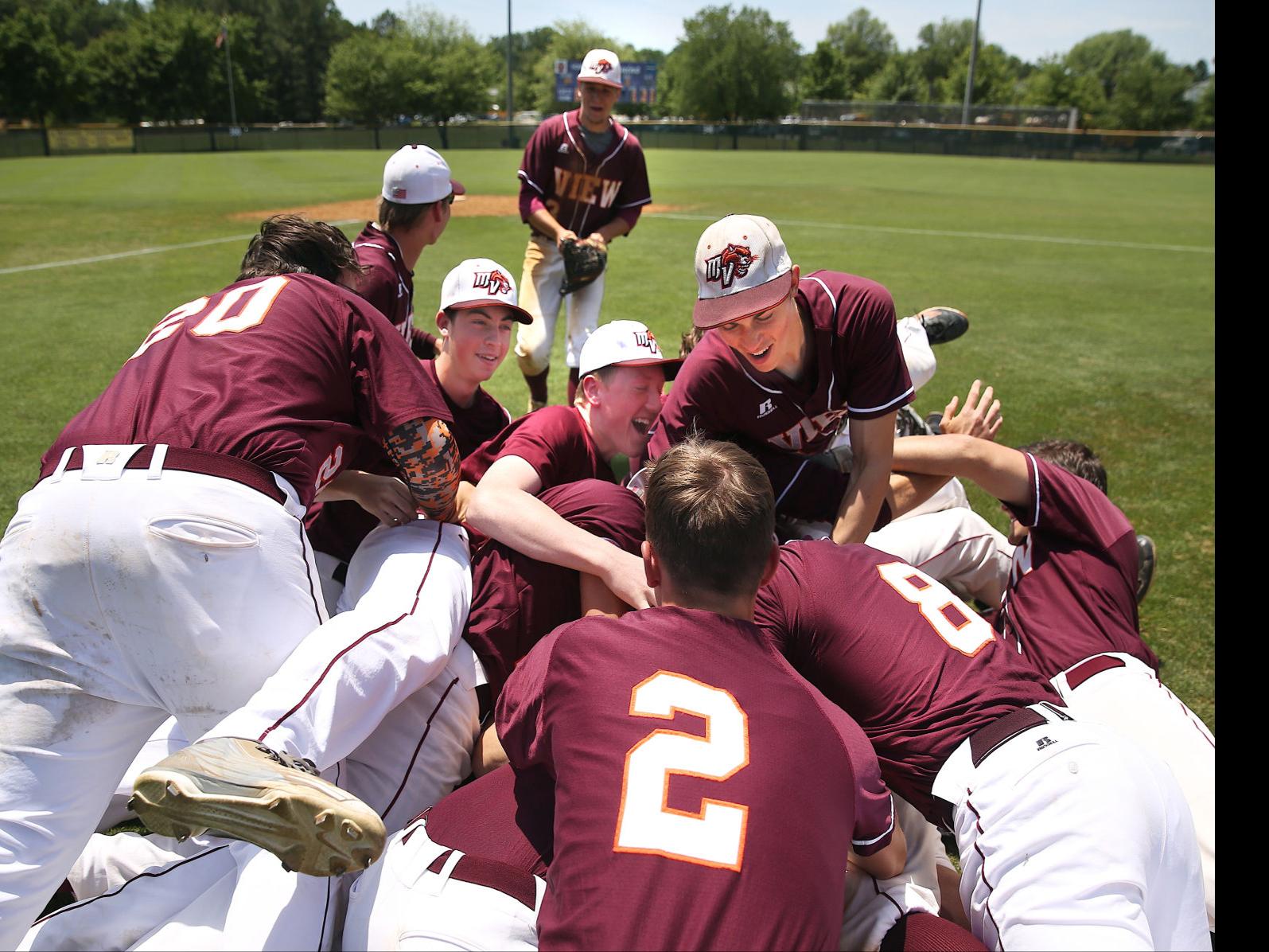High School Baseball Mountain View Finds Swing Late To Earn Spot In Title Game High School Fredericksburg Com,Round Wooden Stool Tops