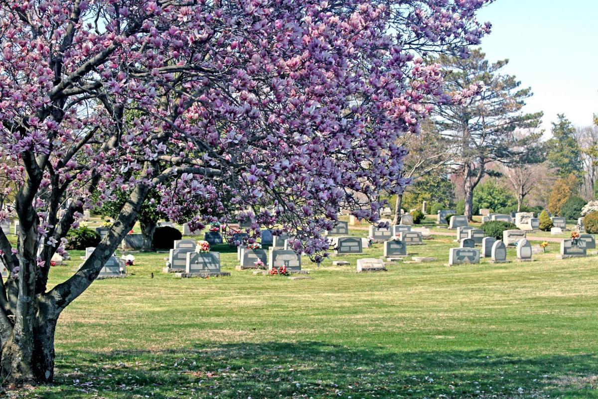 Cemetery-CVA0022287122