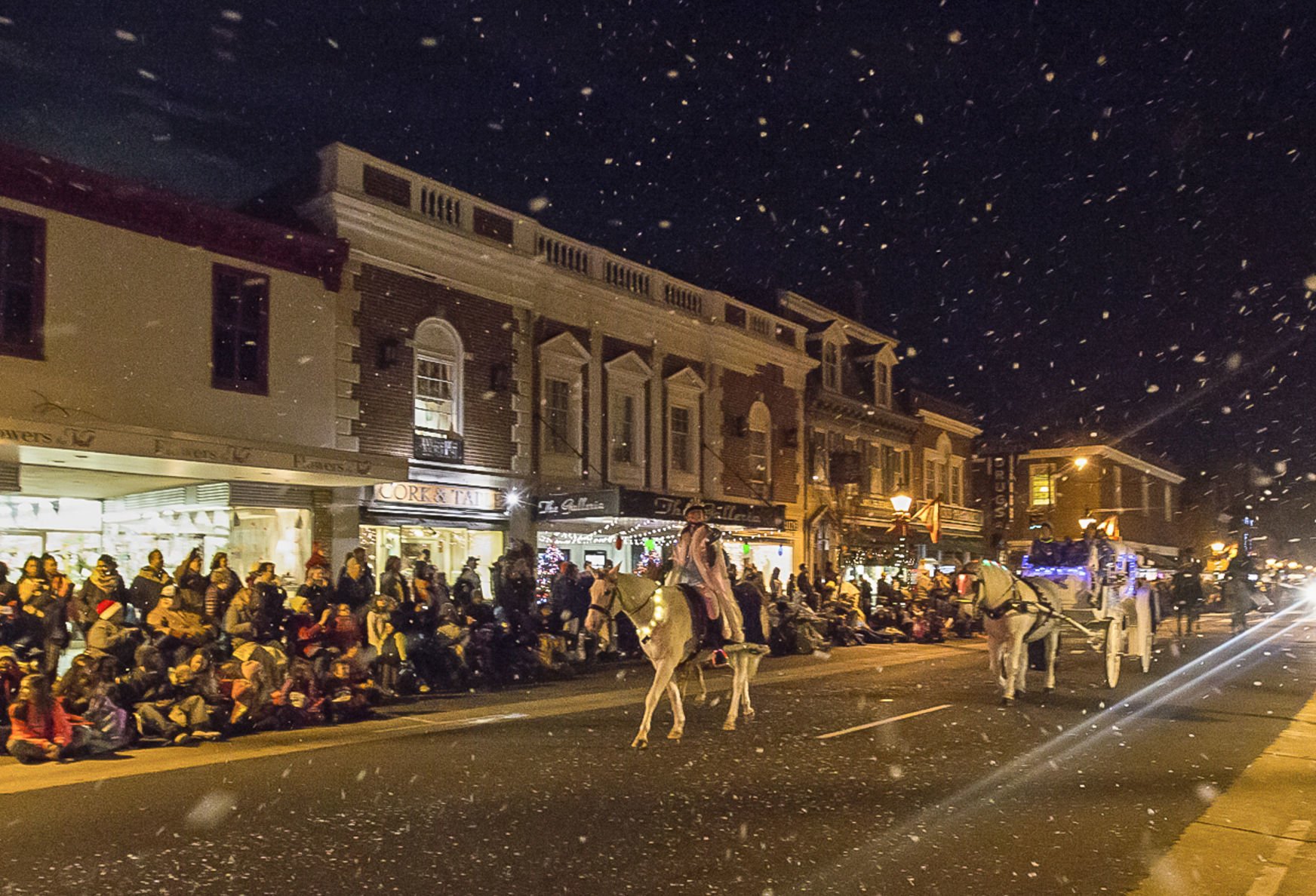 Strike Up The Band: Area Parades Kick Off The Holiday Season ...