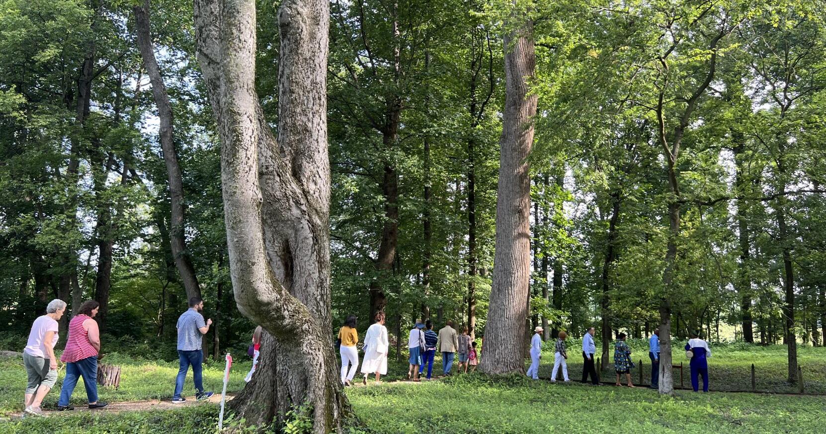 'They're speaking to us': Celebration kicks off project memorializing Montpelier's enslaved - Vimarsana News