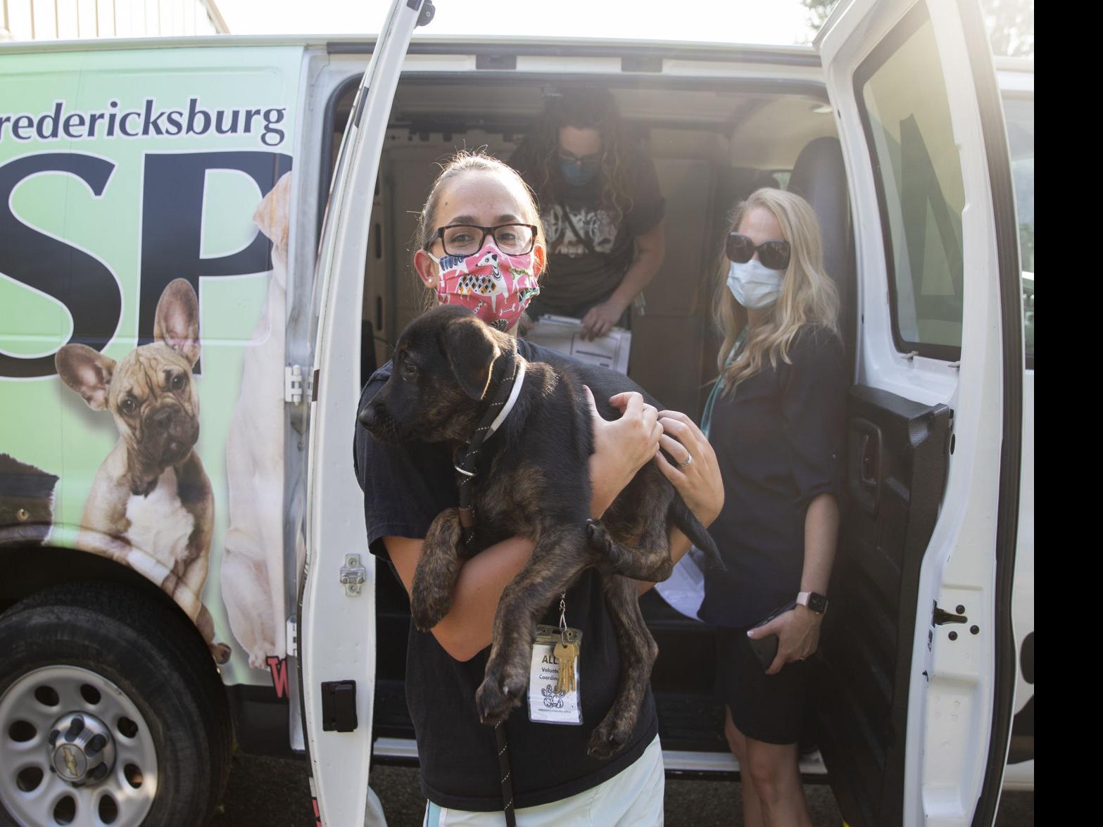 Spca Helps Adopt Animals Evacuated From Laura S Path Local News Fredericksburg Com