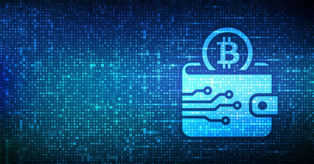 What is a blockchain wallet? What is a blockchain wallet?