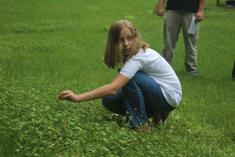 Woman in Disbelief After Finding Incredibly Rare Four-Leaf Clover