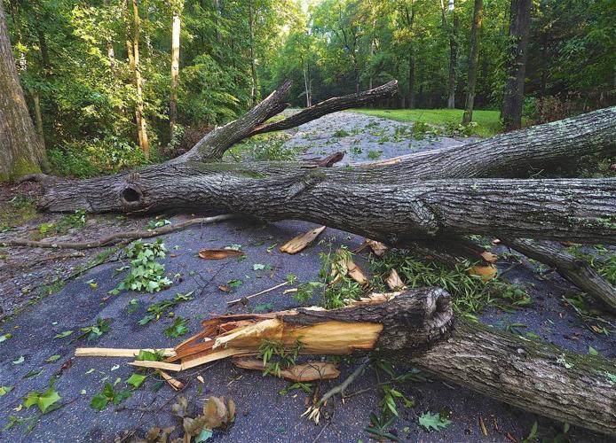 Microburst brings damage, power outages to city residents
