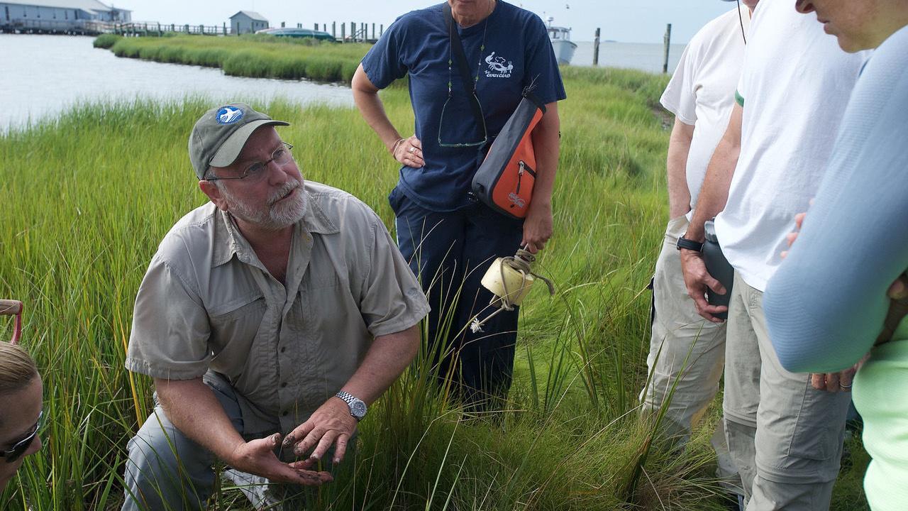 Chesapeake Bay Foundation educator retiring after 40 years on the water - Vimarsana News
