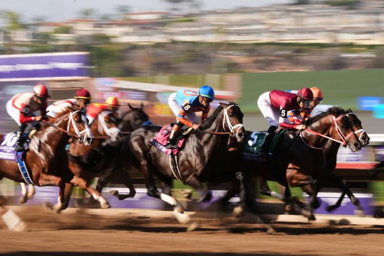 Fredericksburg Horse Races 2025: Ultimate Guide to Thrilling Action