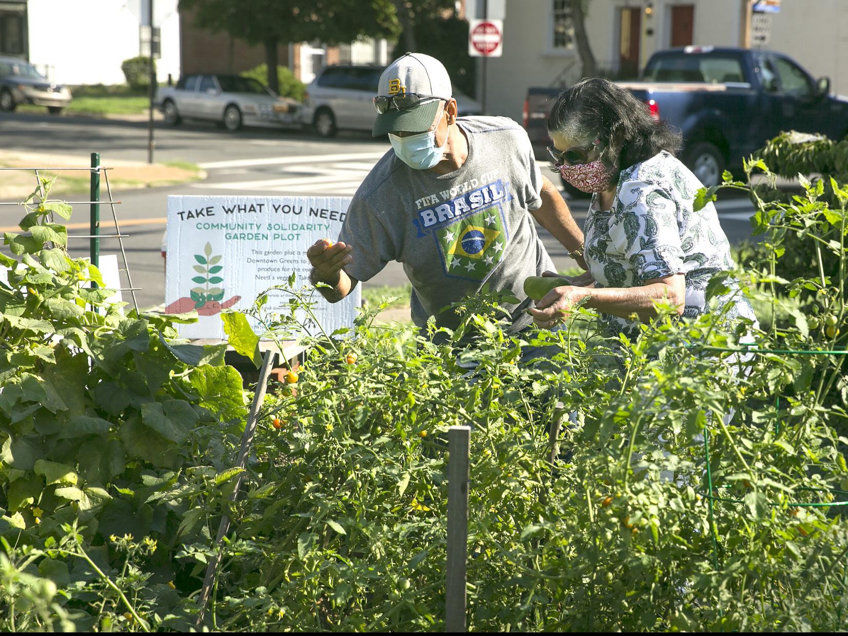 Fredericksburg Area Food Pantries Adjust Operations To Provide Help During Pandemic Local News Fredericksburg Com